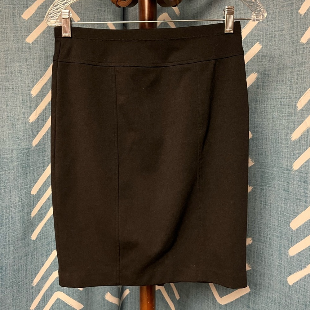Ellen Tracy Skirt